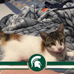 Meet your Posher, Alicia